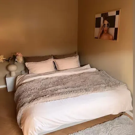 Vakreste Plass Og Beliggenhet! Βίλα Τρόντχαϊμ